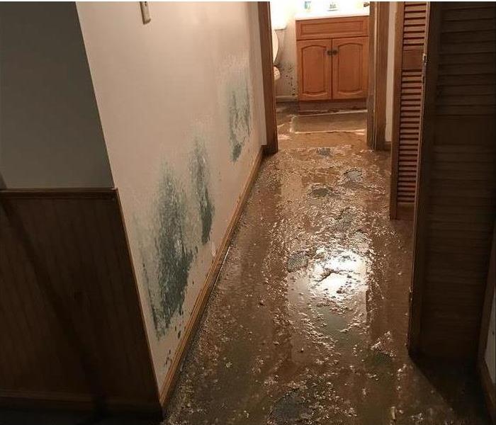 hallway with filthy muddy water on the floor and mold stains on the walls