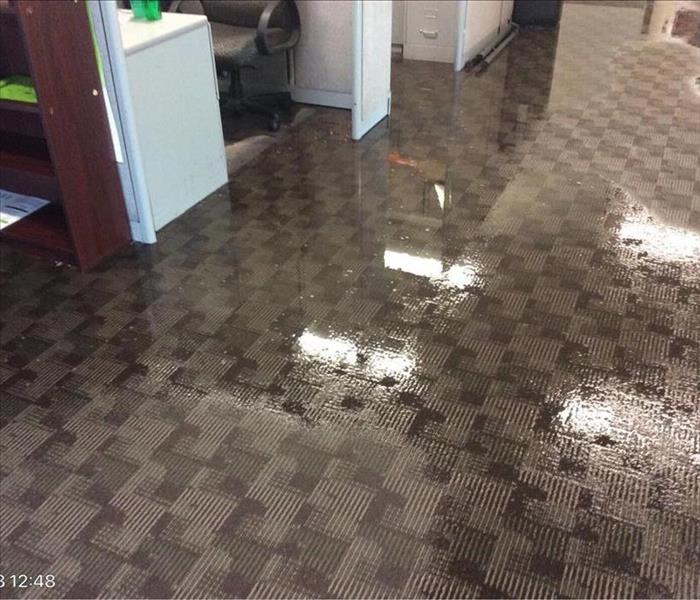 water standing on carpet in an office area
